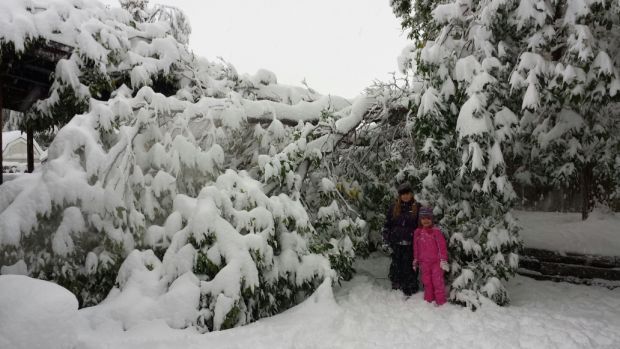 Winter Storm Atlas